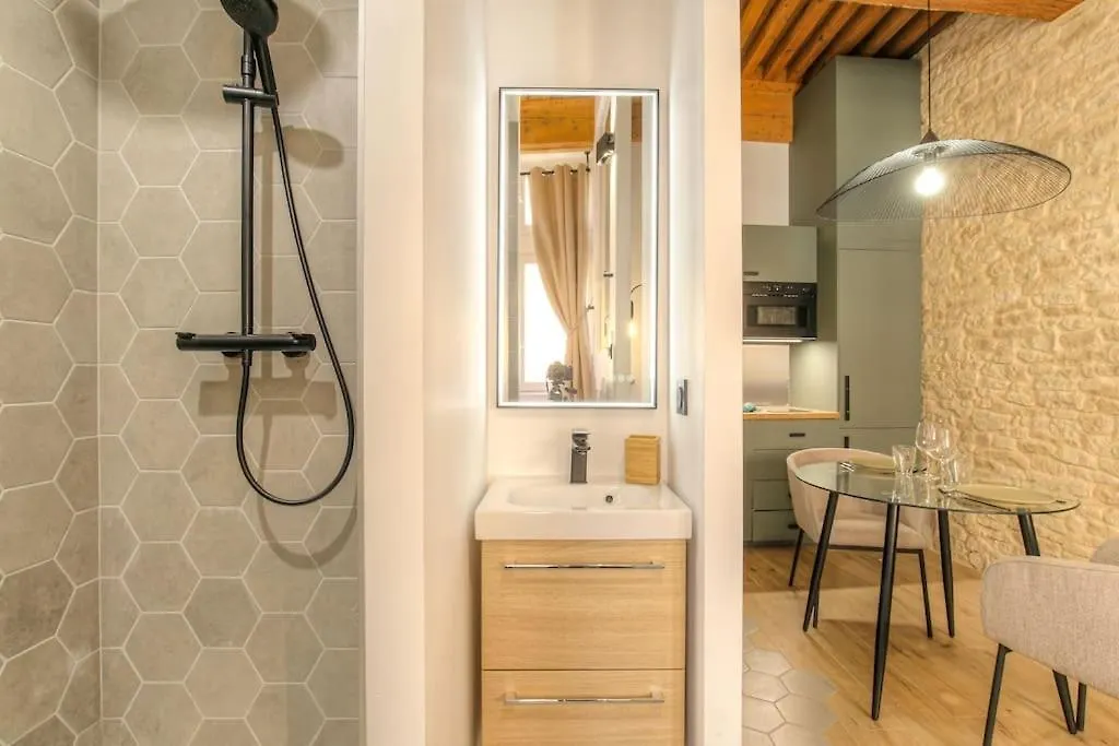 Appartamento Studio De Charme Avec Balneo, Coeur De Presqu'Ile Lione Francia